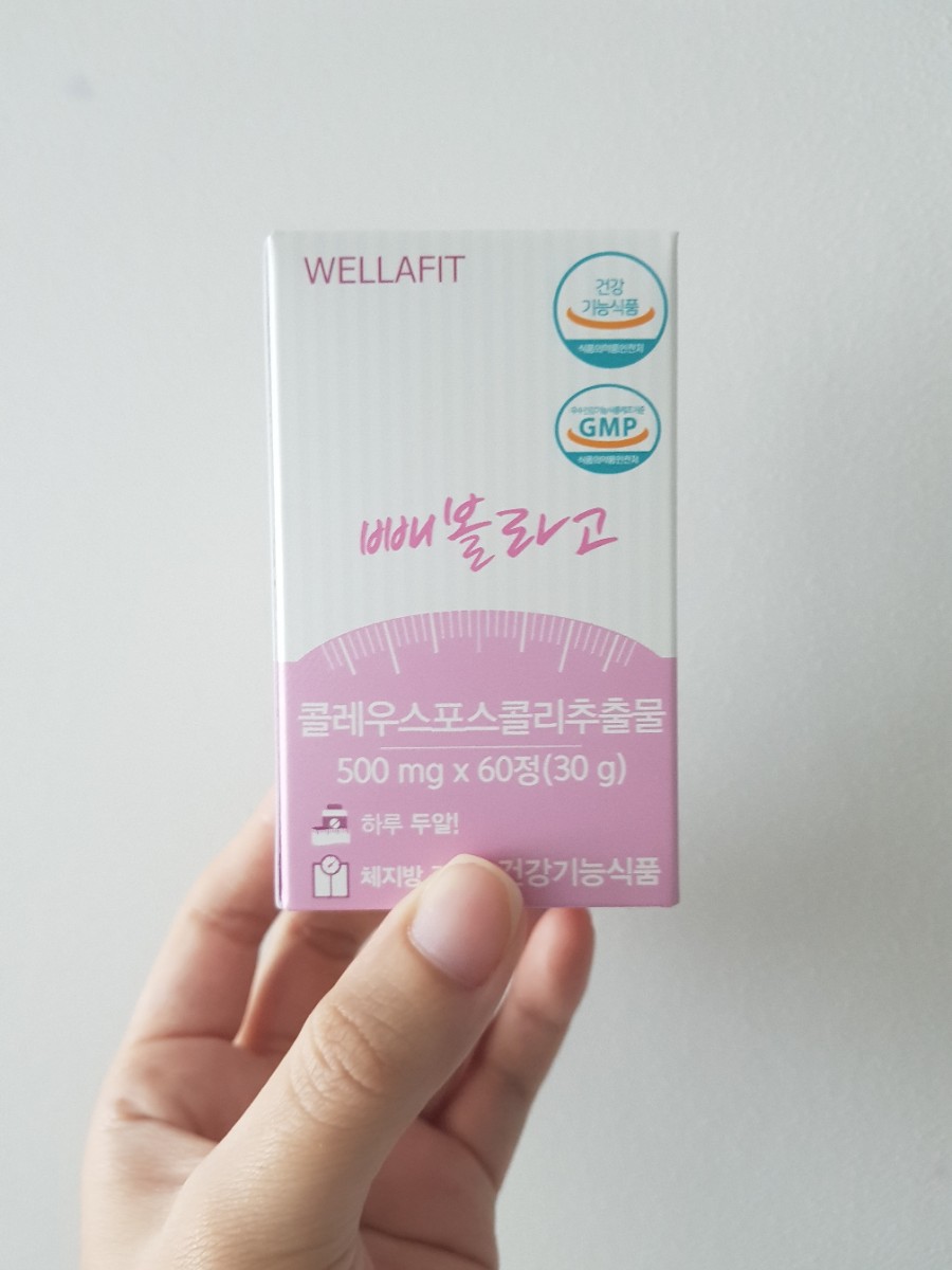 웰라핏 이미지