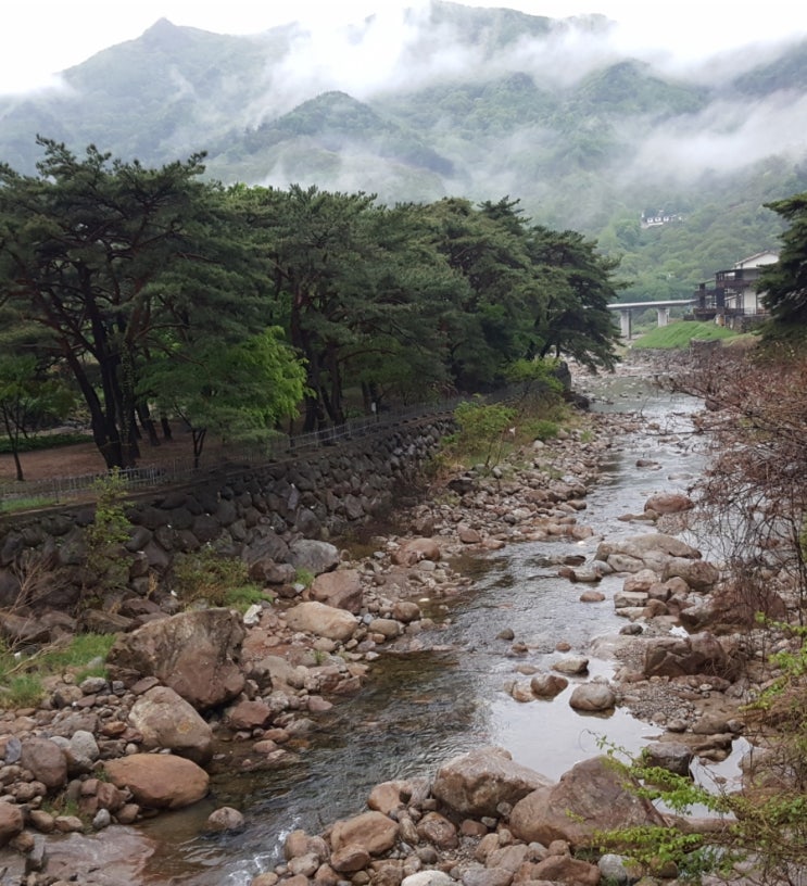 지리산녹차별펜션 이미지