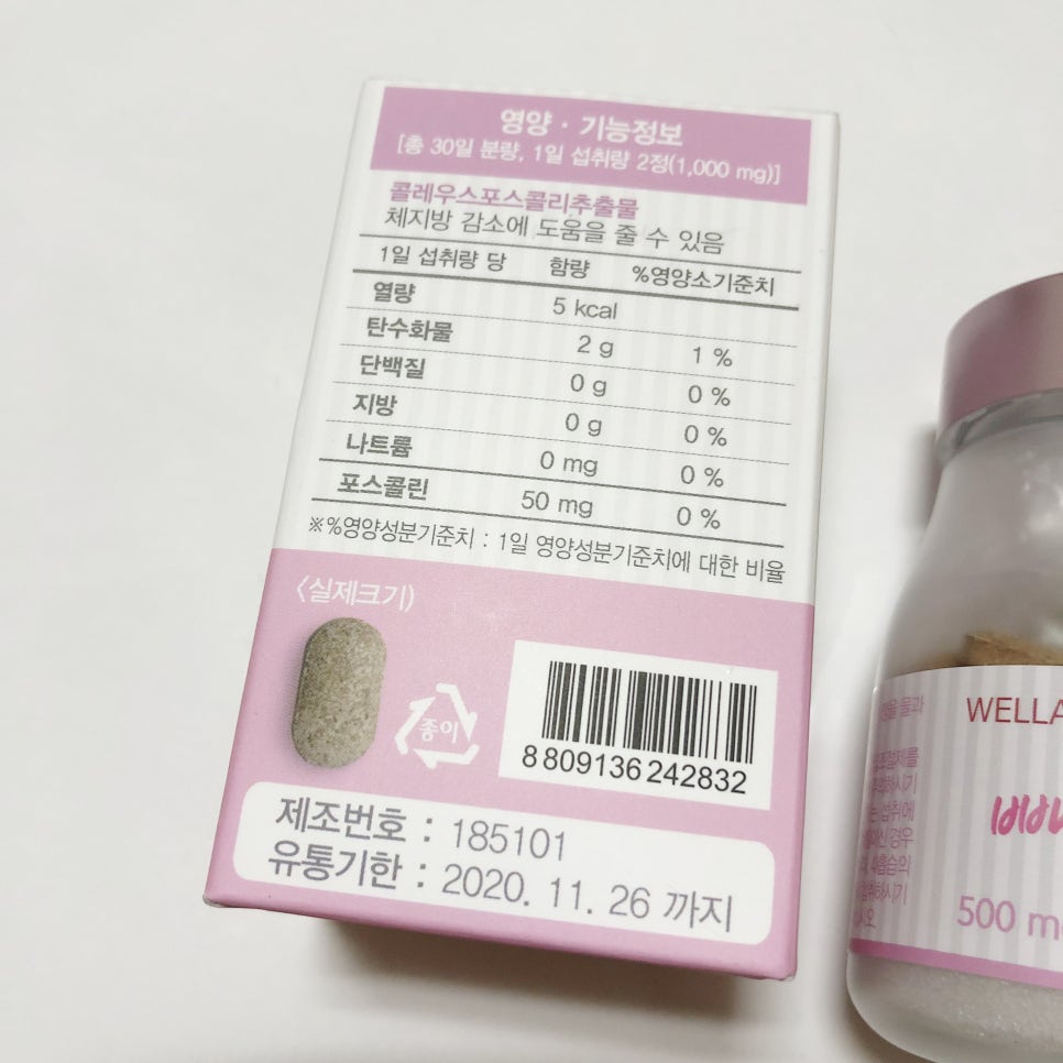 웰라핏 이미지