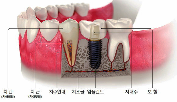 마실치과의원 이미지