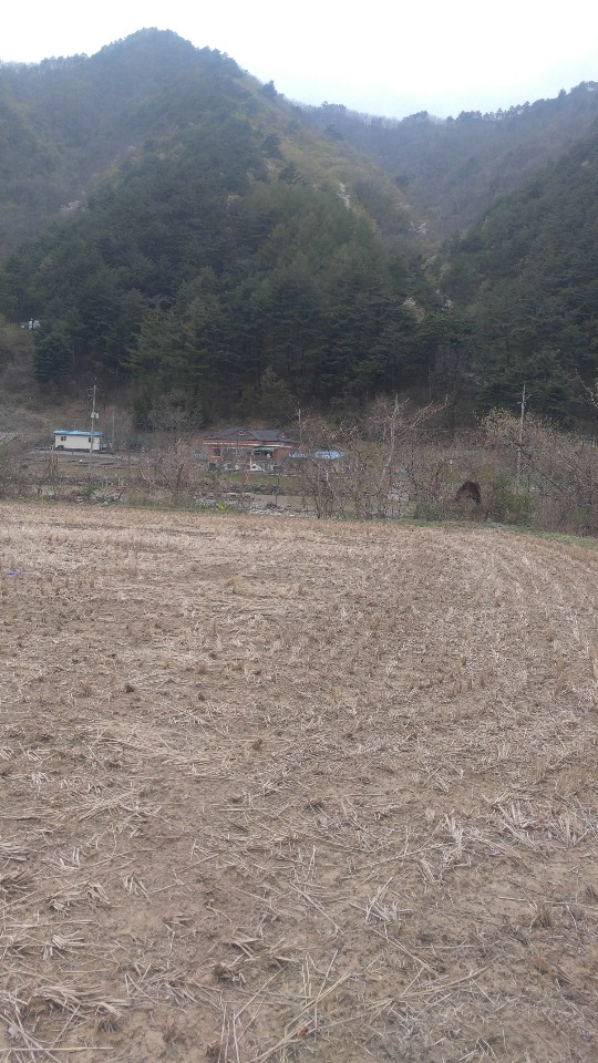 서양양IC 이미지