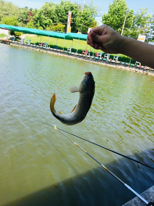 용주골낚시터 이미지