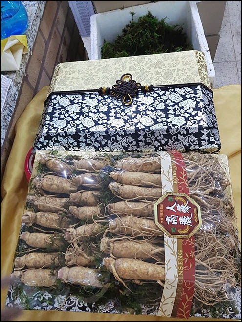 수삼센터7호 이미지