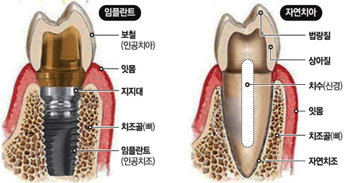 마실치과의원 이미지
