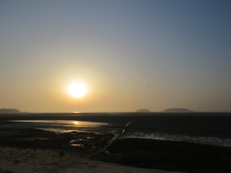 고창운수 이미지