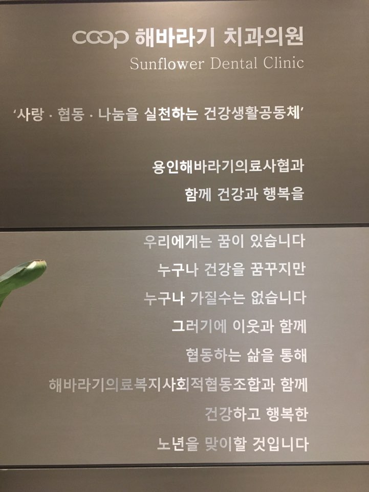 해바라기치과의원 이미지
