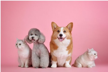 카페나을 이미지