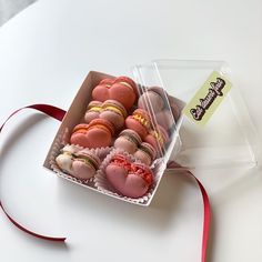 라이브스타 이미지