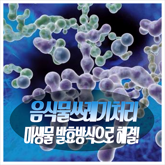 주식회사 조은 이미지
