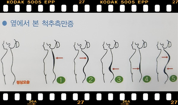 바른몸운동센터 이미지