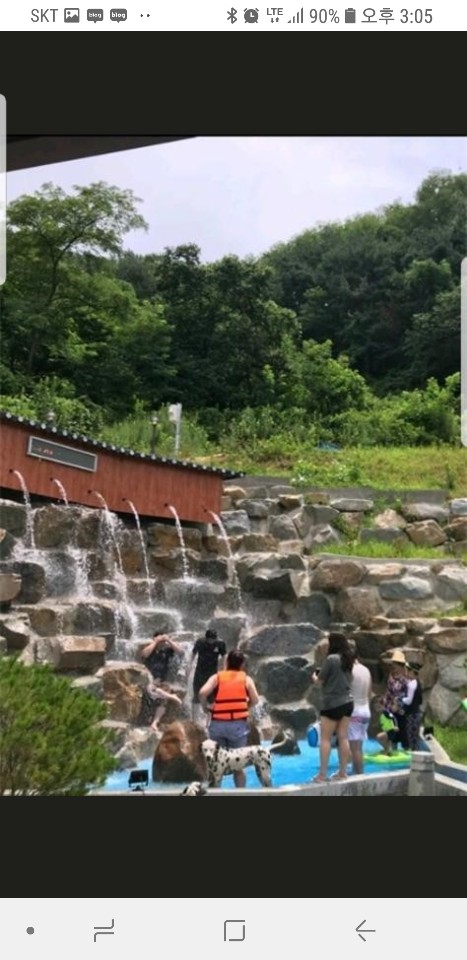 합천 저팔계 참숯불구이 이미지