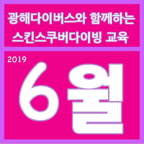 광해다이버스 이미지