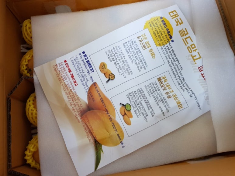 와이앤트레이딩 이미지