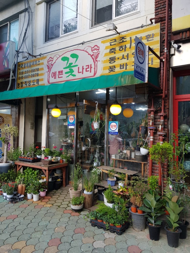 예쁜꽃나라 이미지