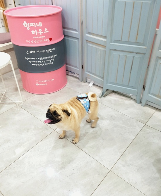 오동하우스 이미지