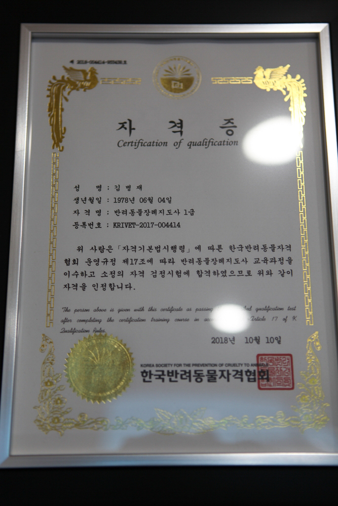 꿈앤진로 이미지