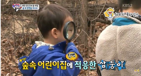 숲속어린이집 이미지