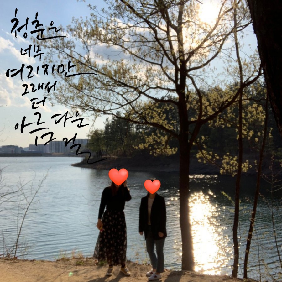 대구혁신미인캘리그라피 이미지