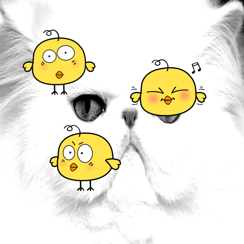 모든클린잡 이미지