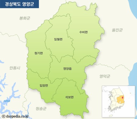 영양중앙초등학교 이미지