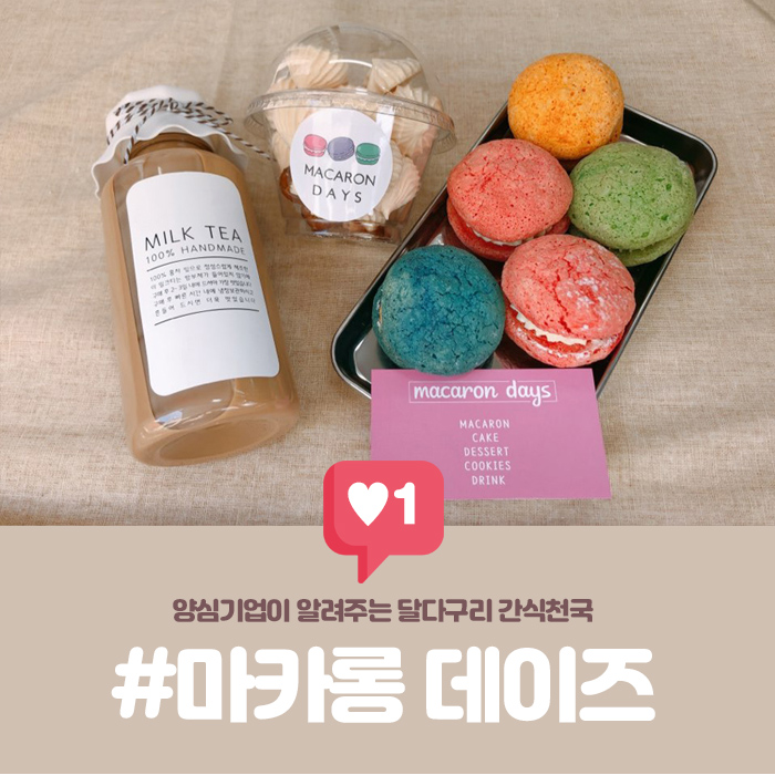마카롱데이즈 이미지