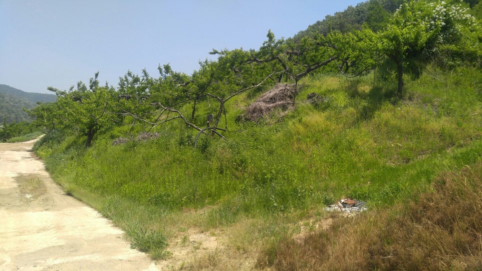 영천582 이미지