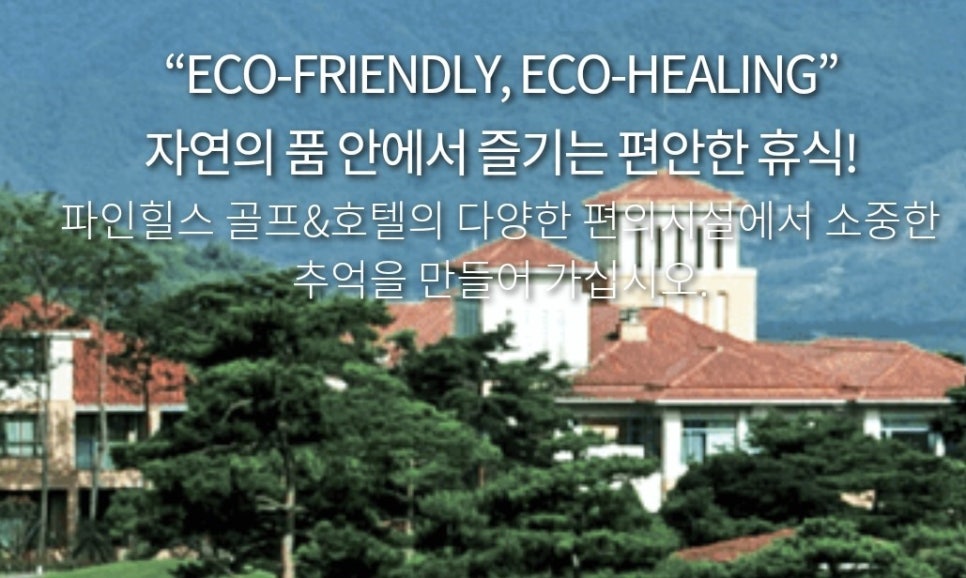 명품항공여행사 이미지