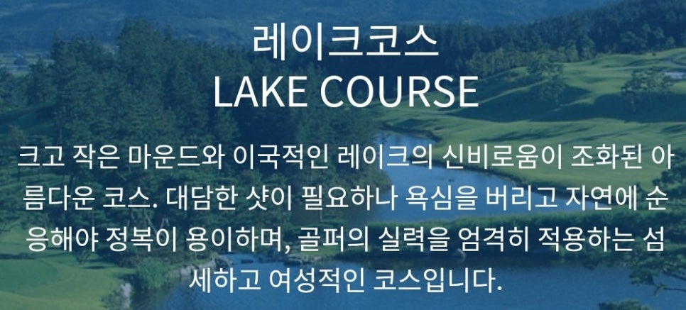 명품항공여행사 이미지