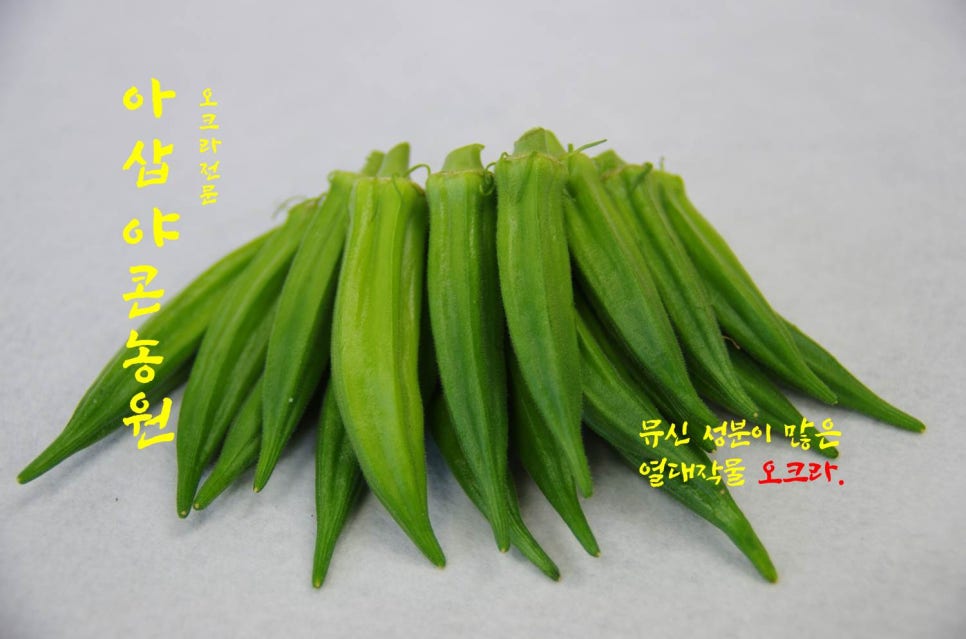 아삽야콘농원 이미지
