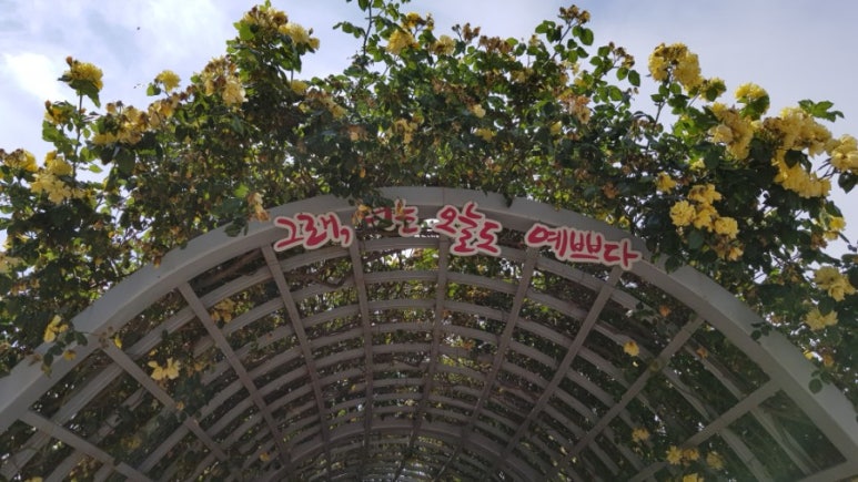 오늘도너는예쁘다 이미지