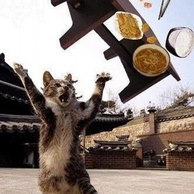 세계과자 이미지