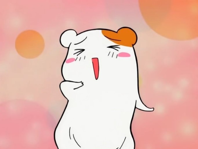 소망플라워 이미지