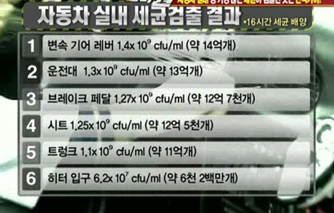 디테일링미르 이미지