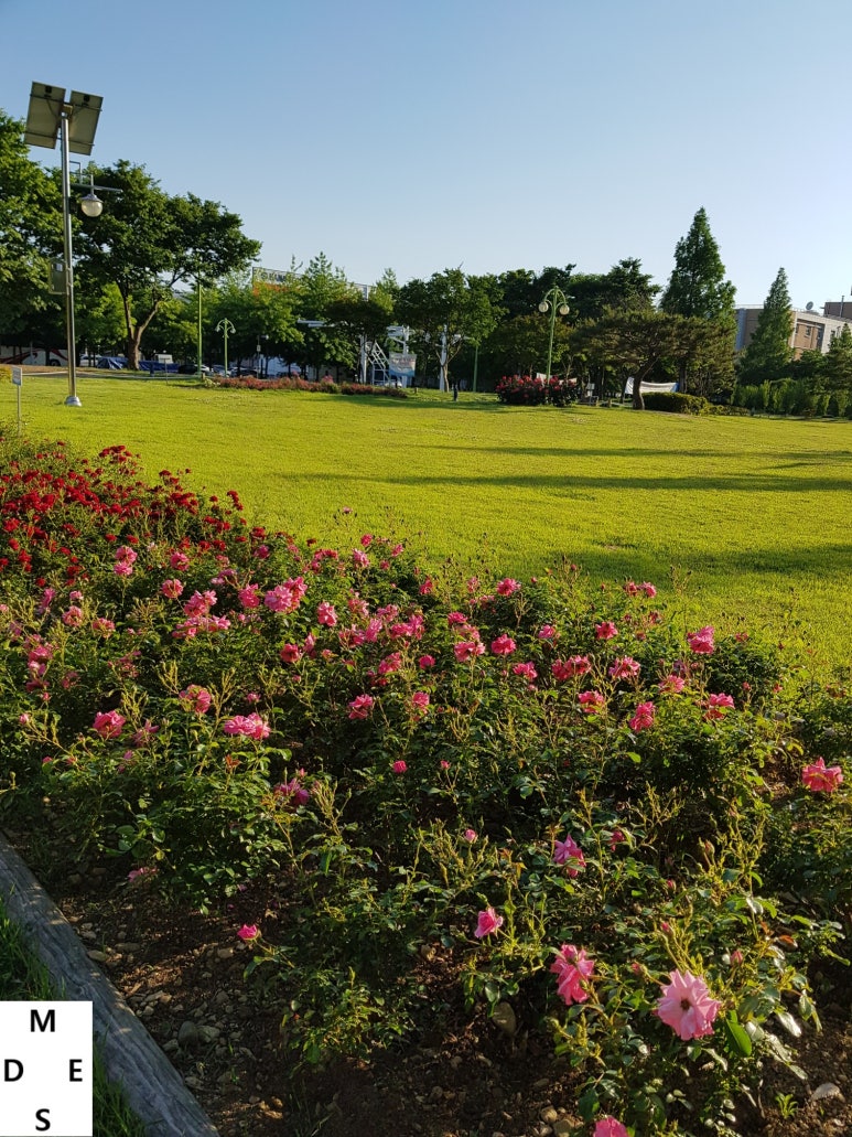 호림공원 이미지