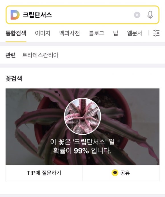 단정원 이미지