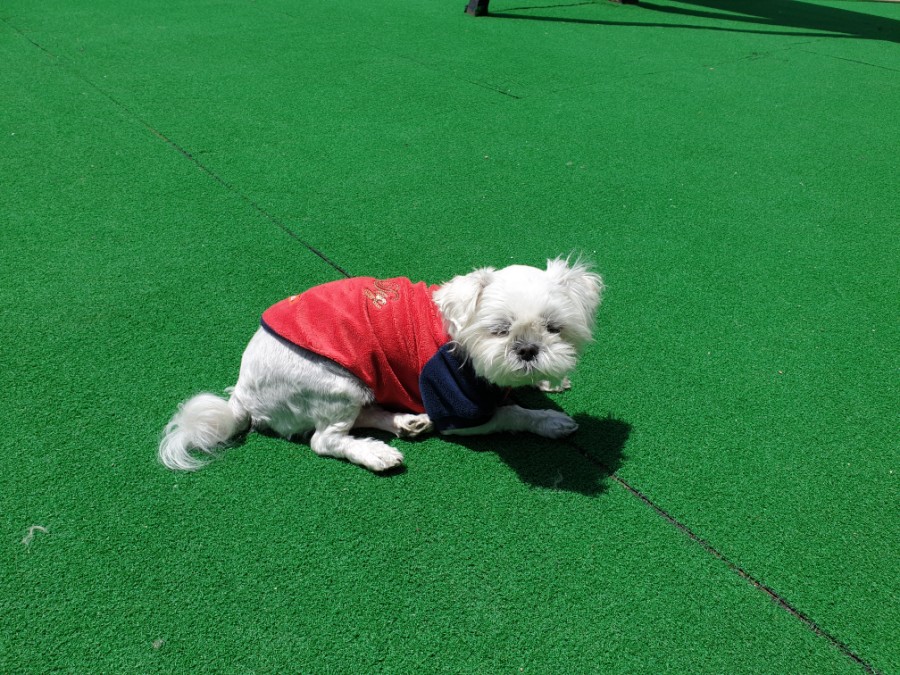 가평빠지업타운수상레저 이미지