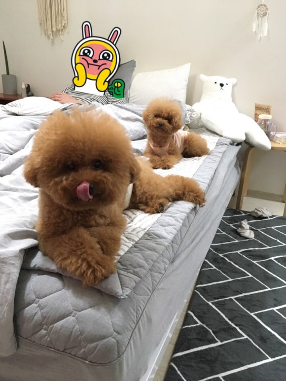 바람잘날없는집 이미지