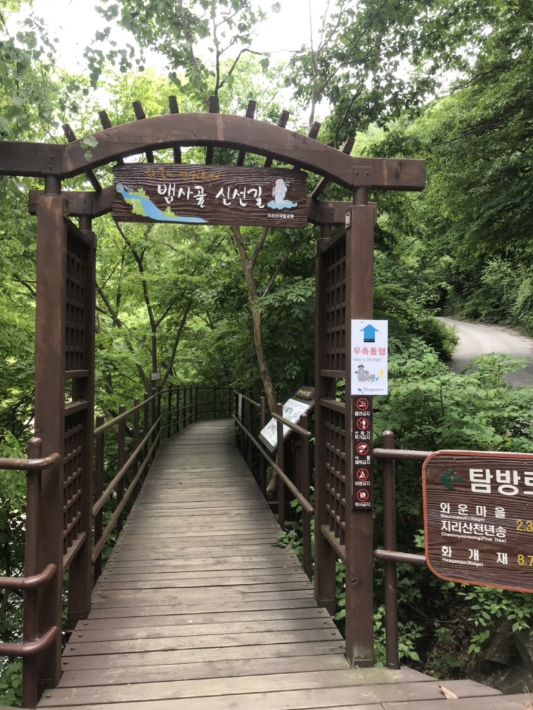 천년송가는길 이미지