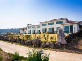 제주터닝포인트 이미지