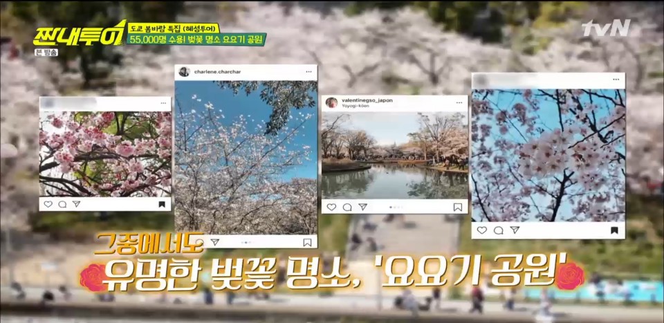공원돈까스 이미지