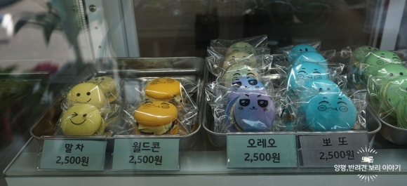 가비앤가비 이미지