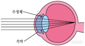 한국아이테라피센터 이미지