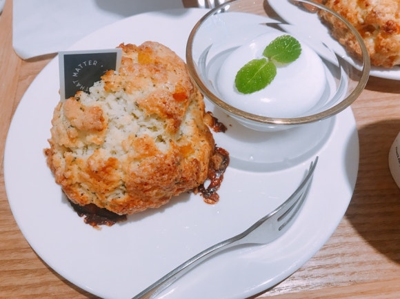 코코치노 이미지