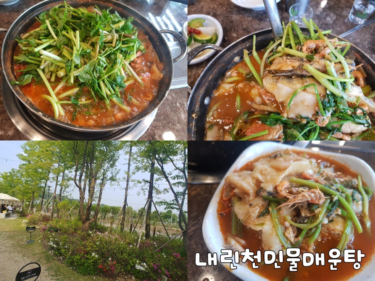 용인민물매운탕 이미지