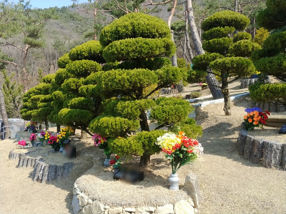 그린피아수목장 이미지