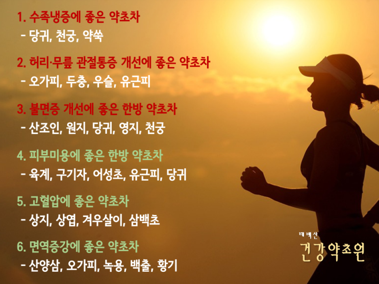 태백산약초원 이미지