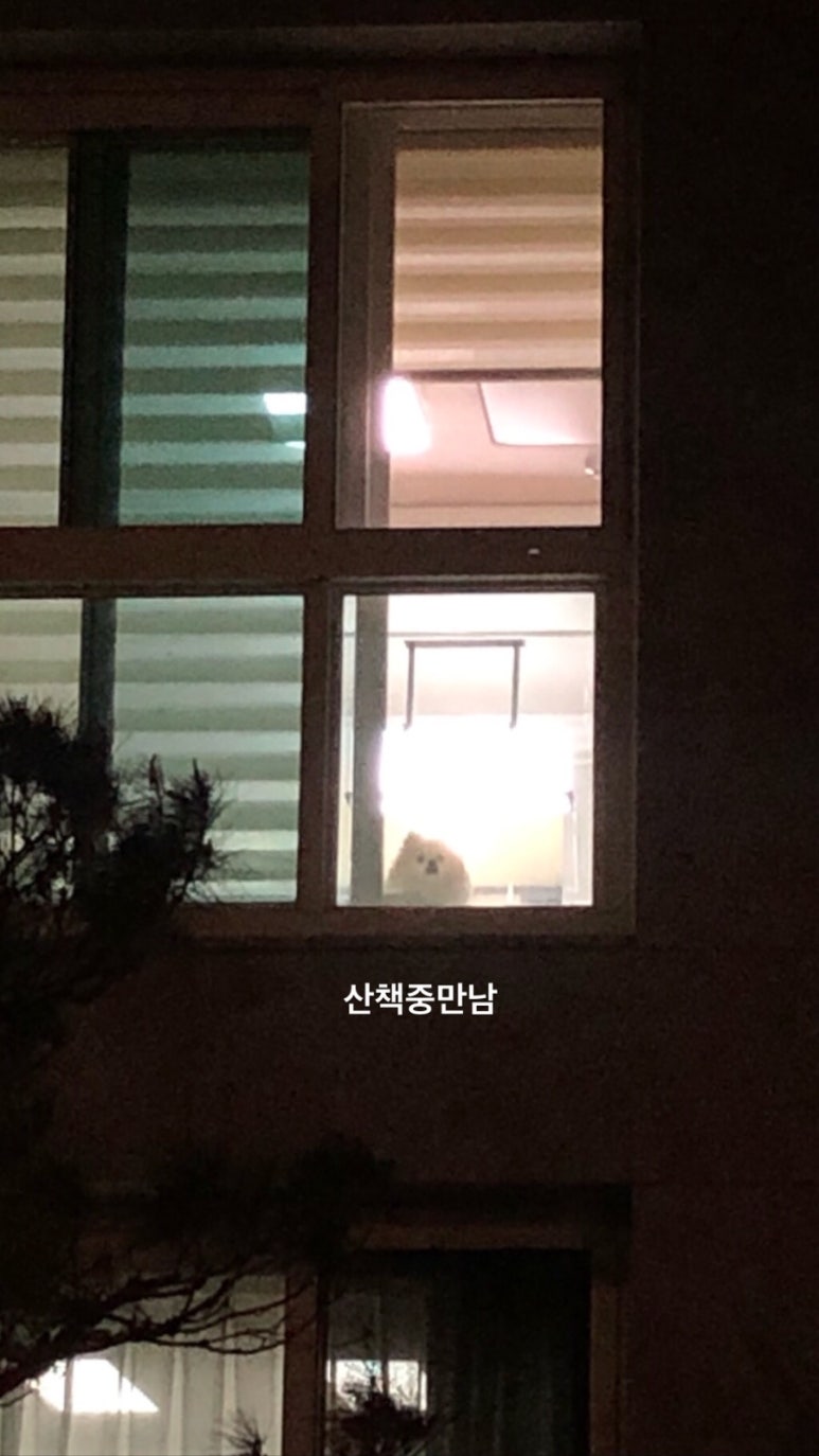 일구구이 이미지