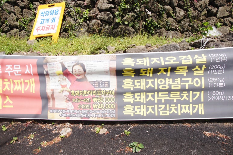 미스켄싱턴 이미지
