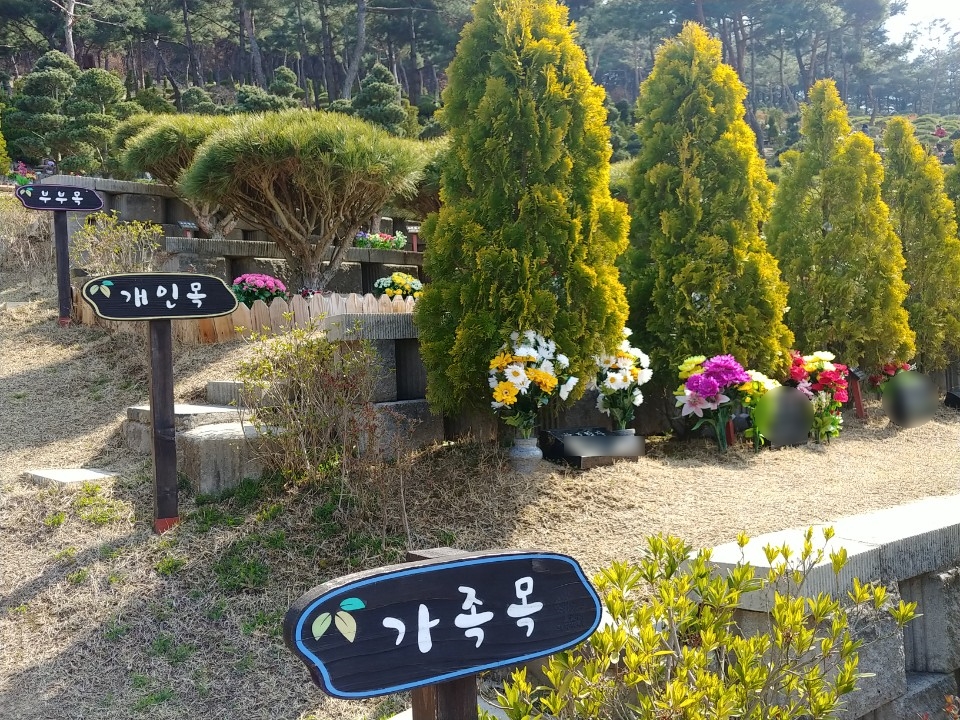 그린피아수목장 이미지