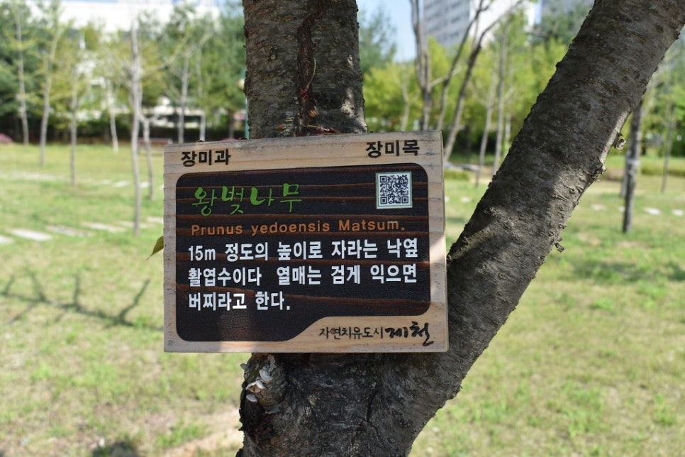강제동 한방공원 이미지